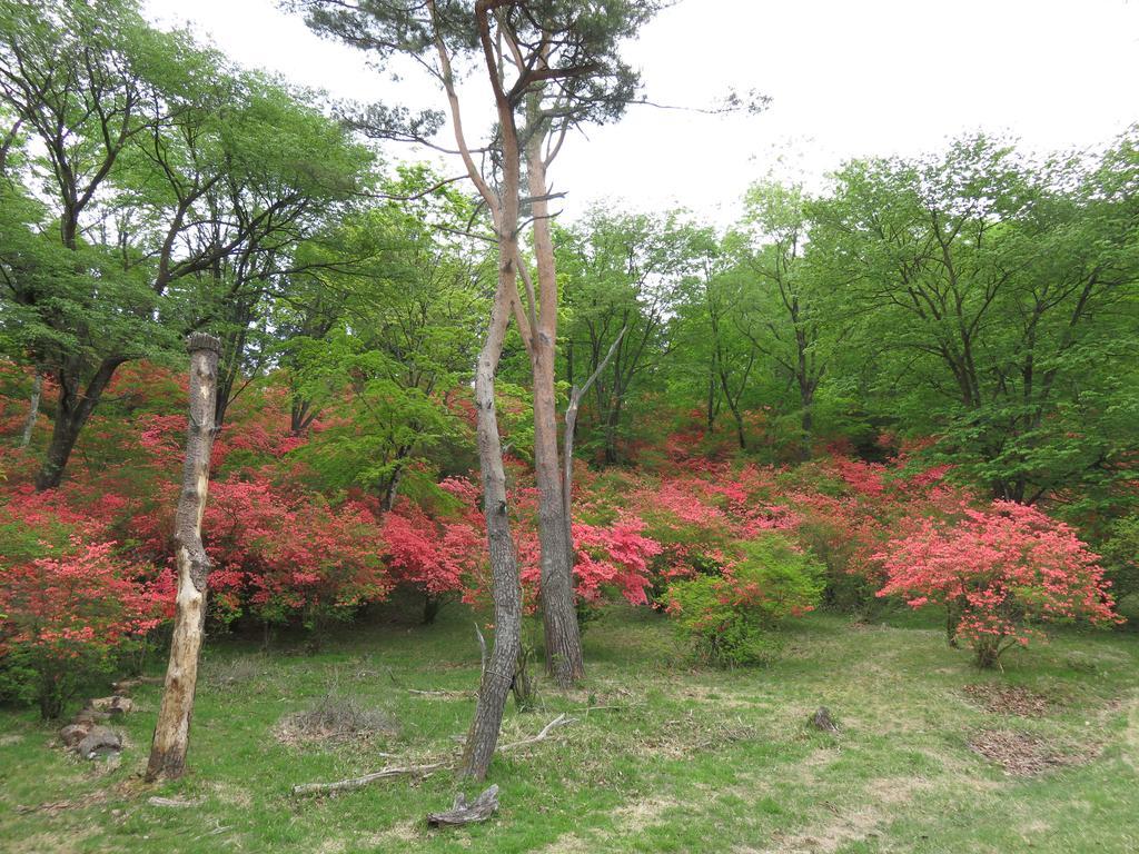 Hotel Nikko Pension L'escale Extérieur photo